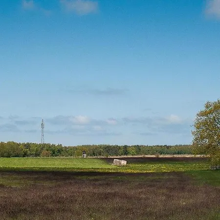 Boddensegler Ferienhaus *