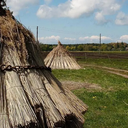 Boddensegler *